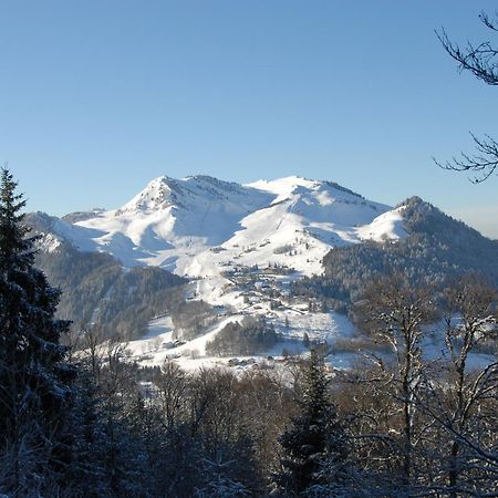 Hotel Les Skieurs Bellevaux Bagian luar foto