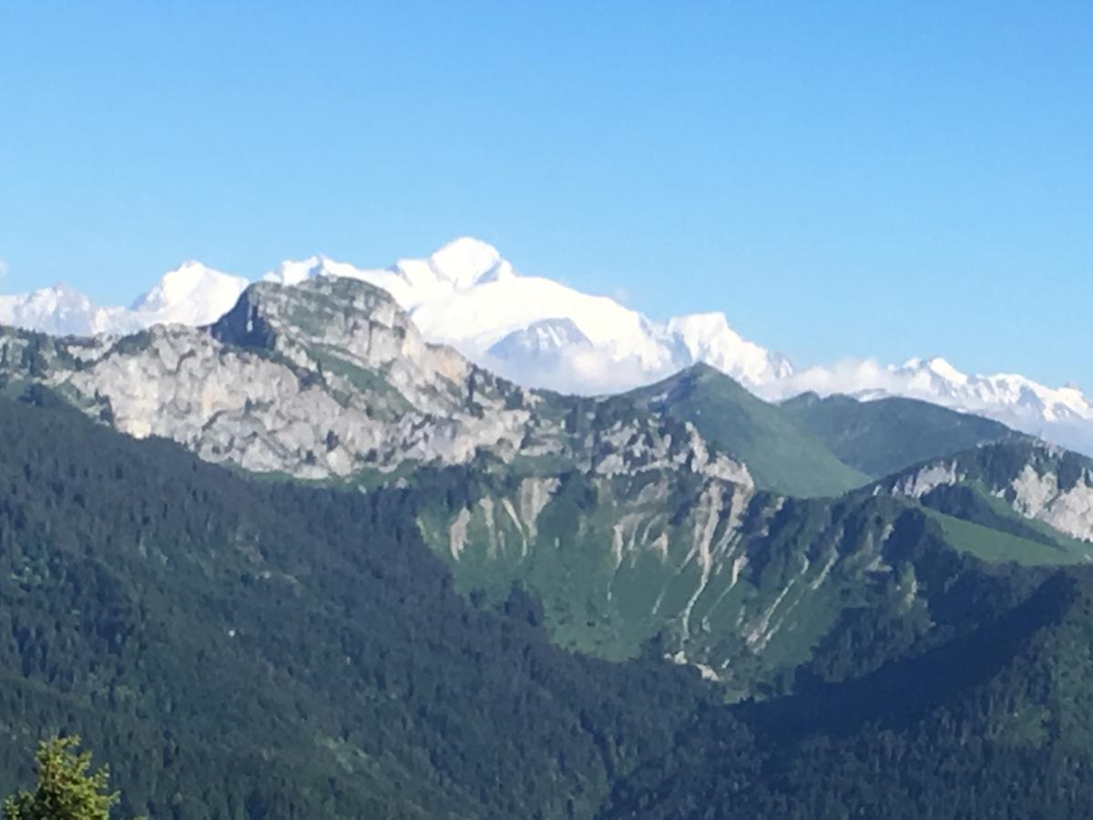 Hotel Les Skieurs Bellevaux Bagian luar foto