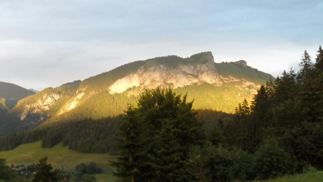 Hotel Les Skieurs Bellevaux Bagian luar foto